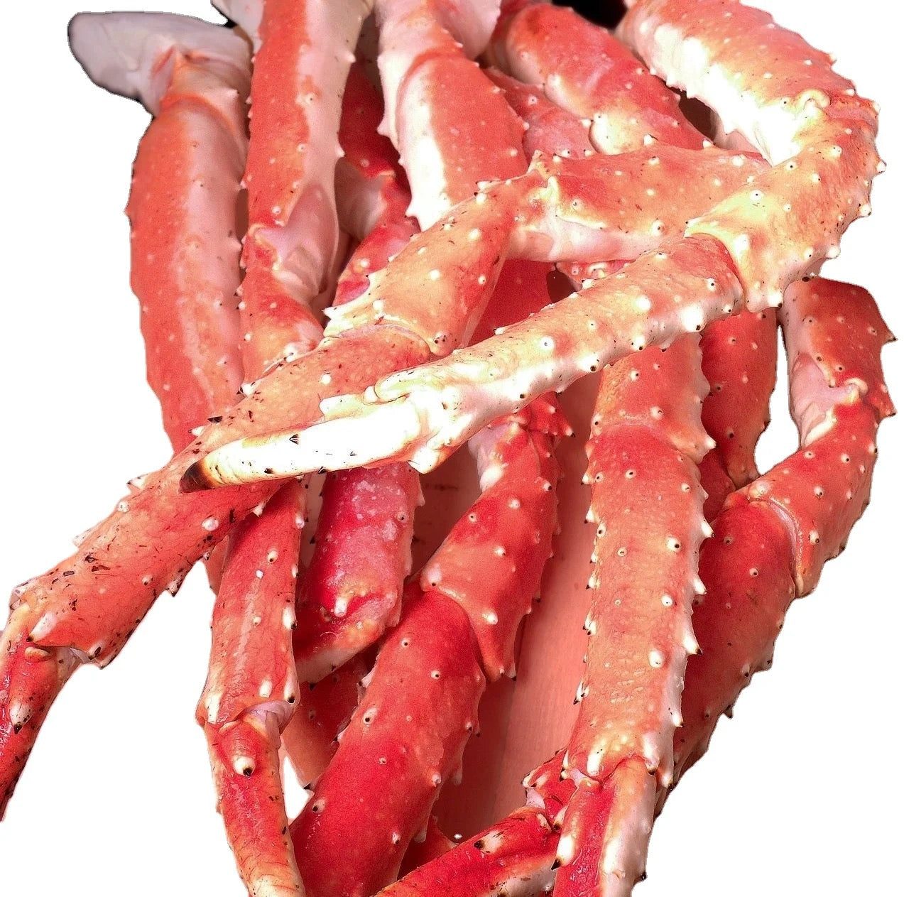 Live Red Alaskan King Crab/Frozen King Crab Legs/Frozen Blue